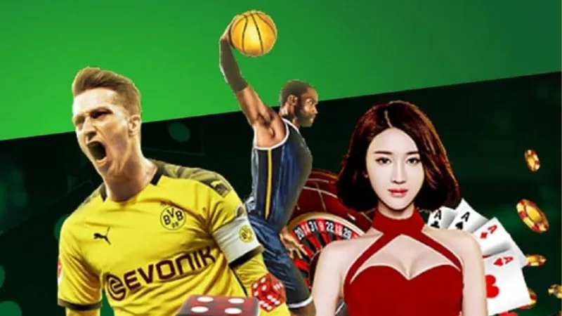 Hướng dẫn đăng ký, nạp rút và hỗ trợ khách hàng