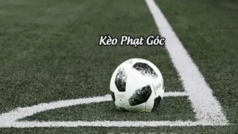 Cách đọc kèo, thời điểm vào tiền và quản lý vốn